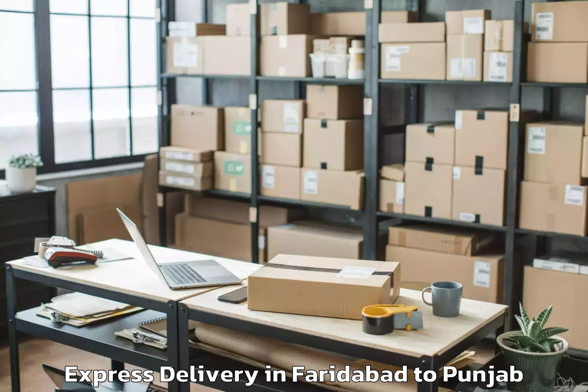 Professional Faridabad to Khamanon Express Delivery